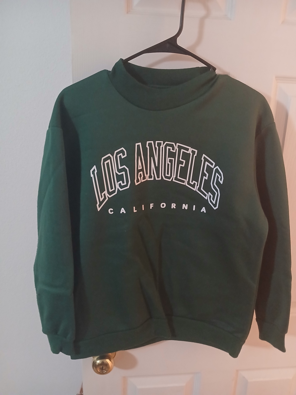 SHEIN Dark Green Pullover Sweatshirt